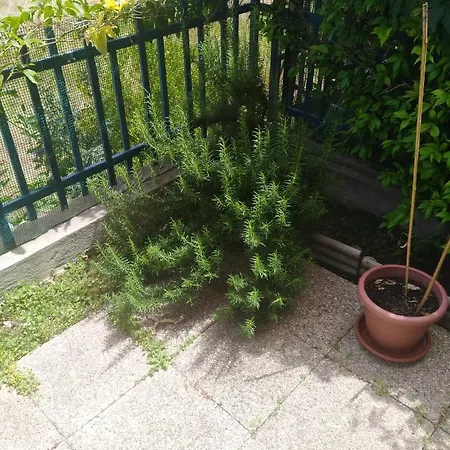 Delle Libellule Affittacamere *